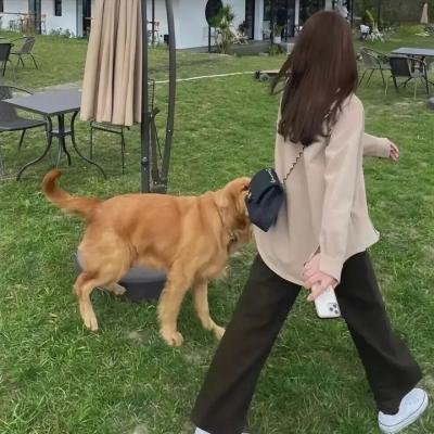 她的双眼背后